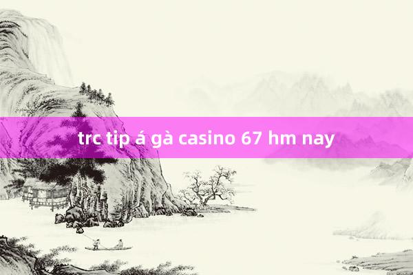 trc tip á gà casino 67 hm nay