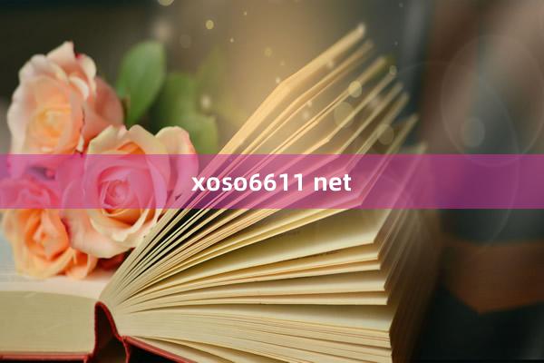 xoso6611 net