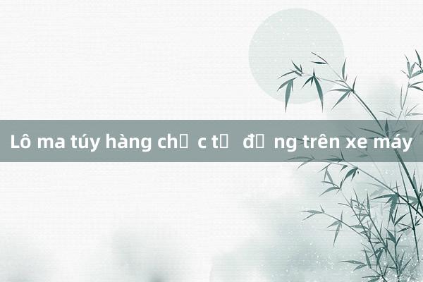 Lô ma túy hàng chục tỷ đồng trên xe máy