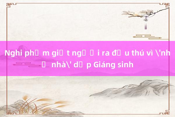 Nghi phạm giết người ra đầu thú vì 'nhớ nhà' dịp Giáng sinh