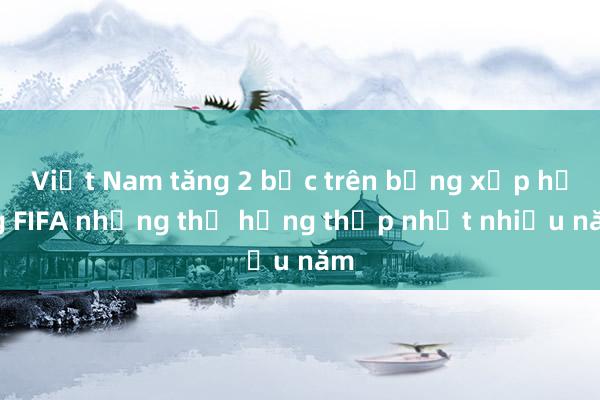 Việt Nam tăng 2 bậc trên bảng xếp hạng FIFA nhưng thứ hạng thấp nhất nhiều năm