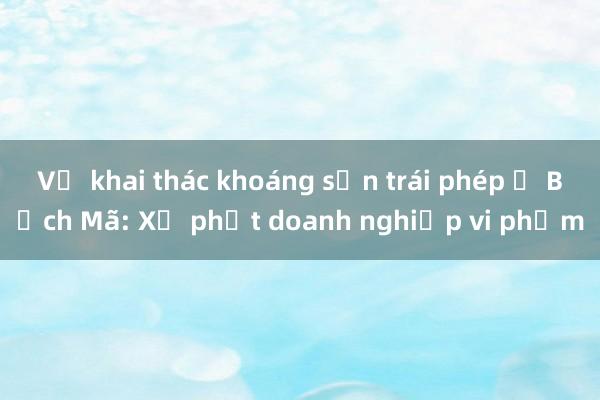 Vụ khai thác khoáng sản trái phép ở Bạch Mã: Xử phạt doanh nghiệp vi phạm