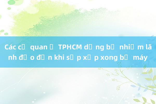 Các cơ quan ở TPHCM dừng bổ nhiệm lãnh đạo đến khi sắp xếp xong bộ máy