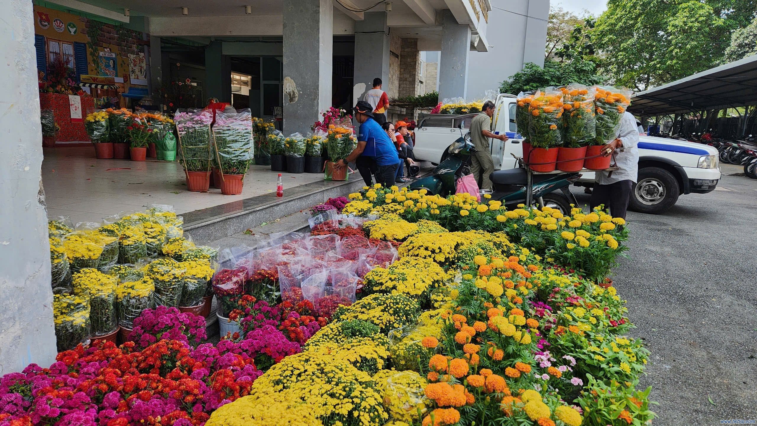 mua lai hoa tet e anh 1