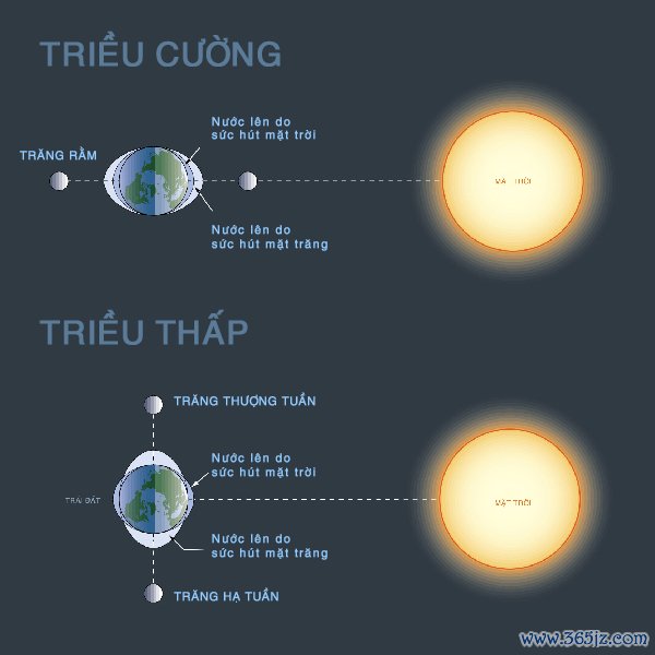 Triều cường